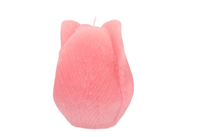 <h4>Candle Tulip Blush Pink 9x11cm</h4>