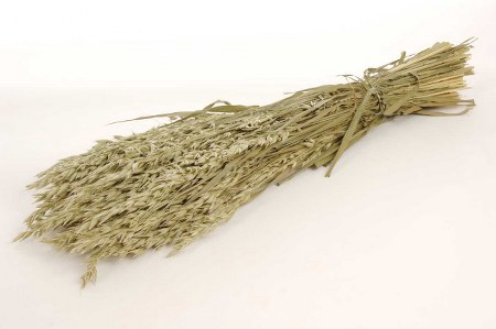 DRIED HORDEUM NATURAL BUNCH ( GERST