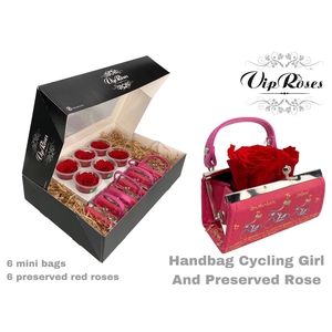 HANDBAG CYCLING GIRL AND PRESERVED RED ROSE
