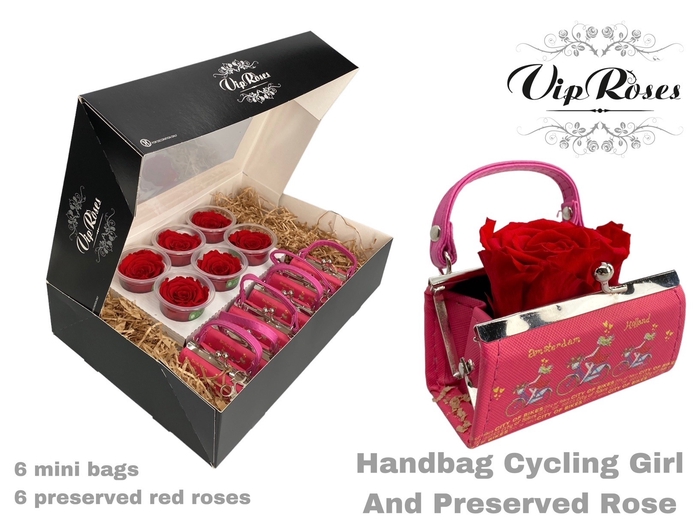 <h4>HANDBAG CYCLING GIRL AND PRESERVED RED ROSE</h4>