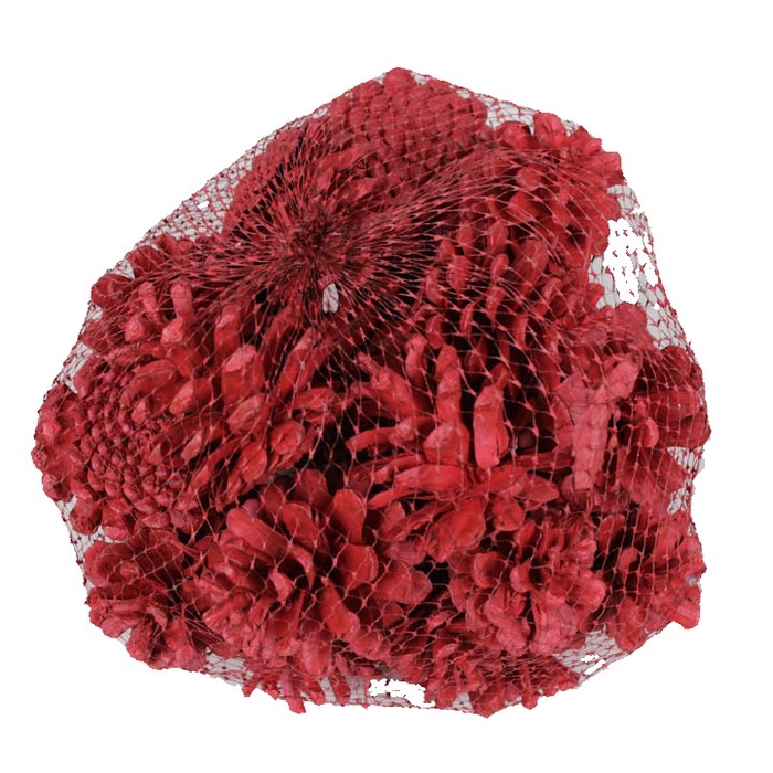 <h4>Pine cone 500gr in net Red</h4>