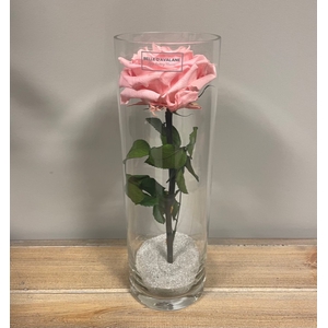 Cilinder d10x30h roze