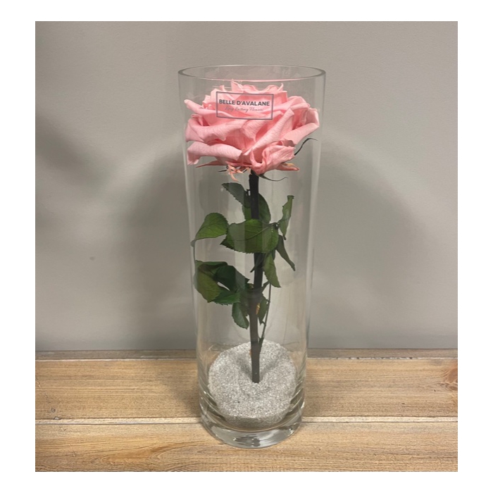 <h4>Cilinder d10x30h roze glas</h4>