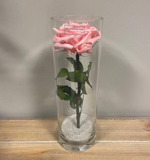 Cilinder d10x30h roze