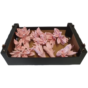 Sororoca heads 1 to 5 flowers 10pc in a box Light Pink