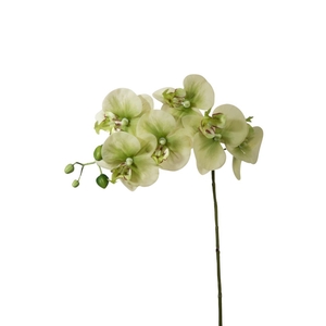 Kunstbloemen Phalaenopsis 68cm