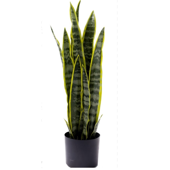 <h4>Artificial plants Pot Sanseveria d16*68cm</h4>