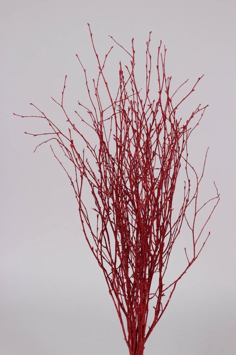Birch 60cm 10stems per bunch Red with Glitter
