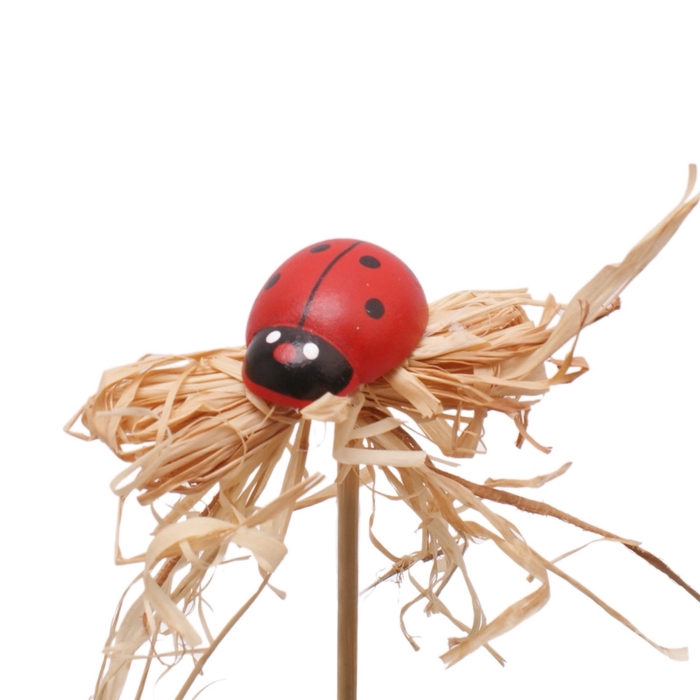 <h4>Sticks 10cm ladybird 3cm</h4>