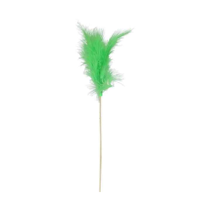 <h4>Sticks 50cm Feather</h4>