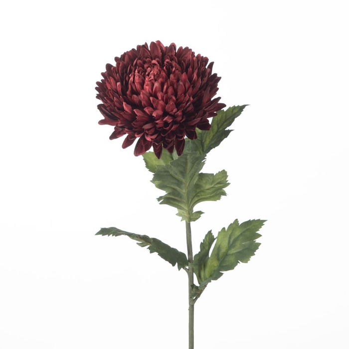 Af Chrysanthemum L75cm Red