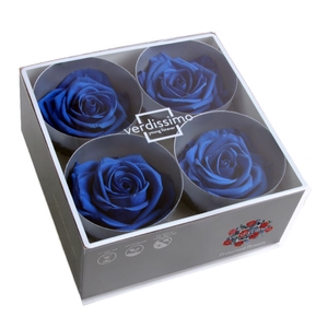 Roos Premium d.blauw