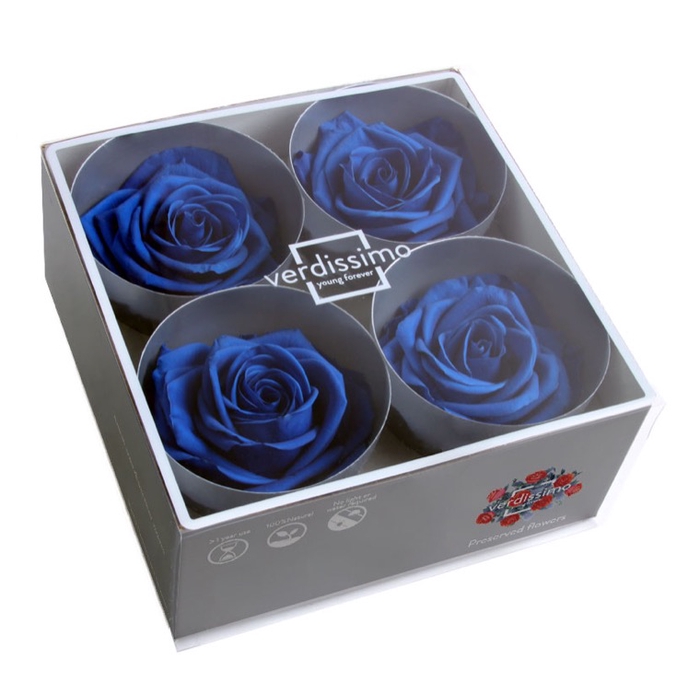 <h4>Roos Premium d.blauw</h4>