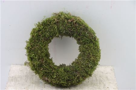Wr Easter Moss 30cm Natural