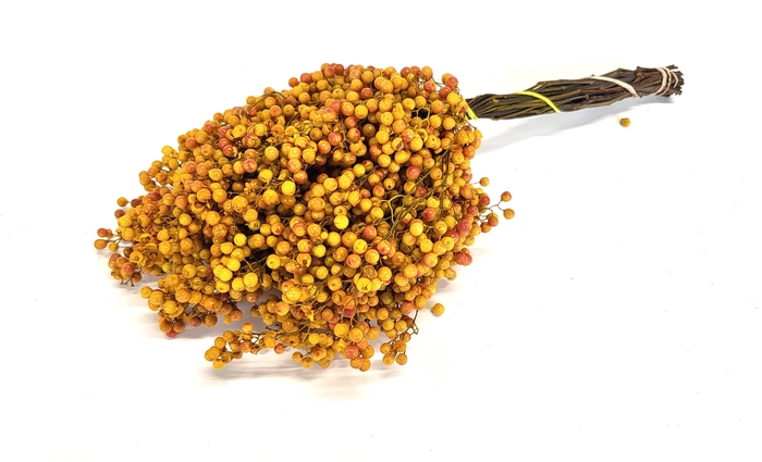<h4>Pepperberries per bunch in poly yellow</h4>
