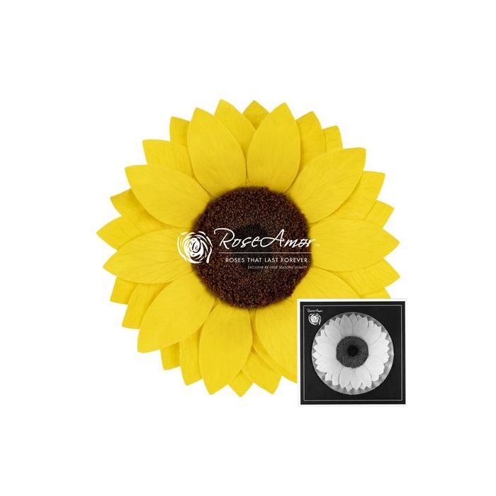 <h4>Sunflower Xxl Yel02</h4>
