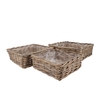Rattan Ivy Basket Square Low S/3 W32/37/42 H13/14/15