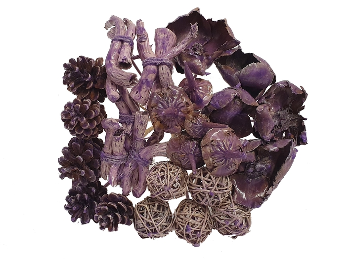 Bouquet mix 25stems per bq wax Purple
