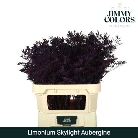 <h4>Limonium skylight paint aubergine</h4>