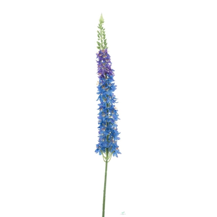 <h4>SILK FLOWERS - LUPINUS SPRAY BLUE 109CM</h4>