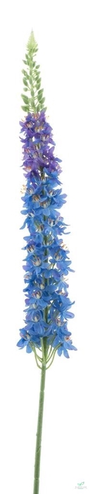 SILK FLOWERS - LUPINUS SPRAY BLUE 109CM