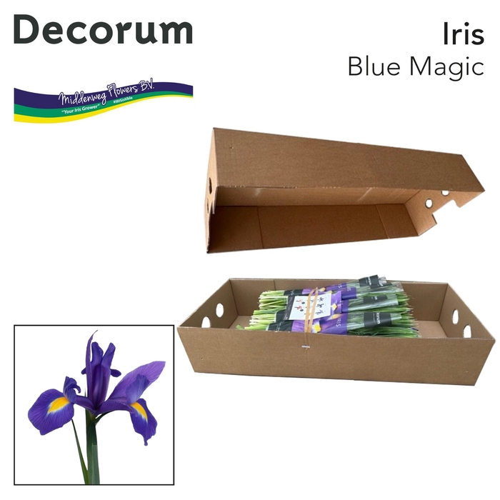 <h4>Iris Blue Magic Pre-packed</h4>