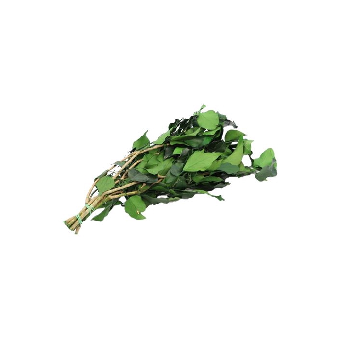 <h4>Bunch Hedera 150g</h4>