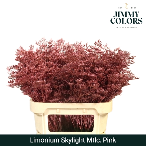 <h4>Limonium skylight paint pink</h4>