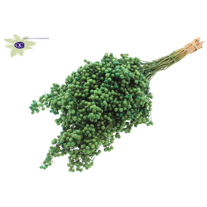 <h4>Pepperberries per bunch in poly Mint green</h4>