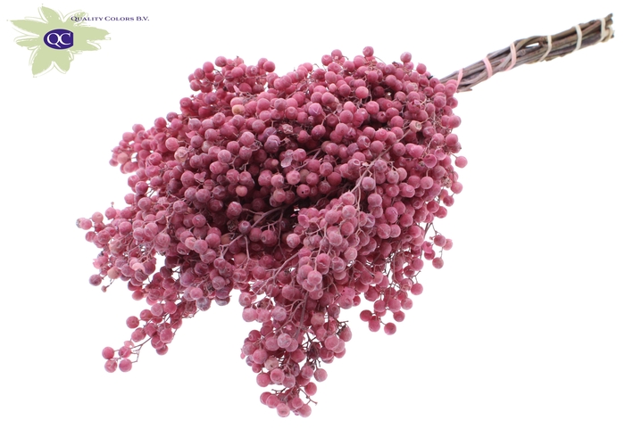 Pepperberries per bunch in poly frosted pink