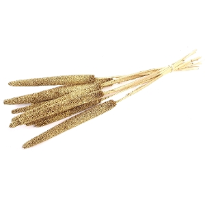 DRIED FLOWERS - BABALA GOLD ON NATURAL STEM 10PCS