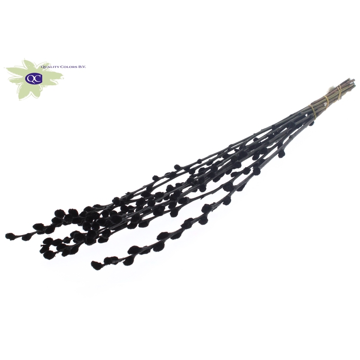 <h4>Pussy Willow 60cm Black</h4>