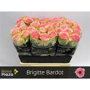 R Gr Brigitte Bardot
