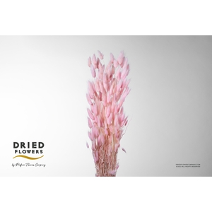 Dried Bleached Lagurus Light Pink 100gr