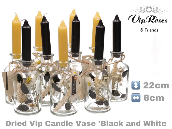 DRIED VIP CANDLE VASE BL & WH