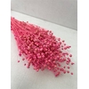 Dried Lino Bleached Cerise