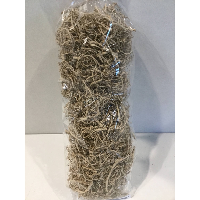 <h4>CURLY MOSS 200GR VANILLE</h4>