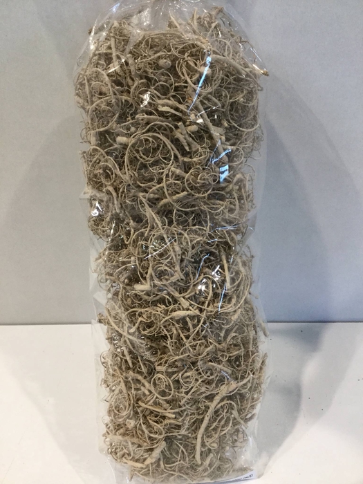 CURLY MOSS 200GR VANILLE