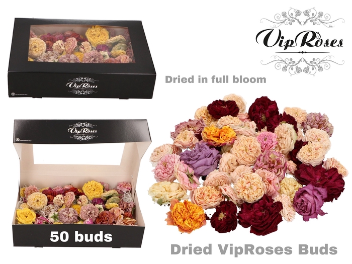 DRIED VIPROSES BUDS