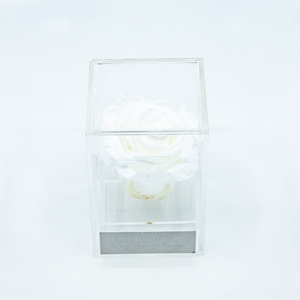 Plexi 7cm witte roos