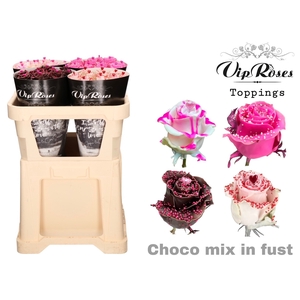 Rosa la paint choco mix in bucket