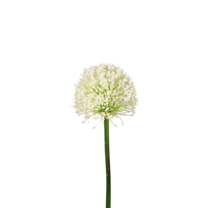 <h4>Kunstbloemen Allium 62cm</h4>