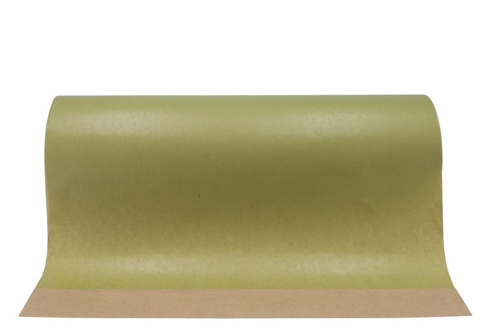 <h4>Paper on the roll olive green 60cm a 12 kilo</h4>