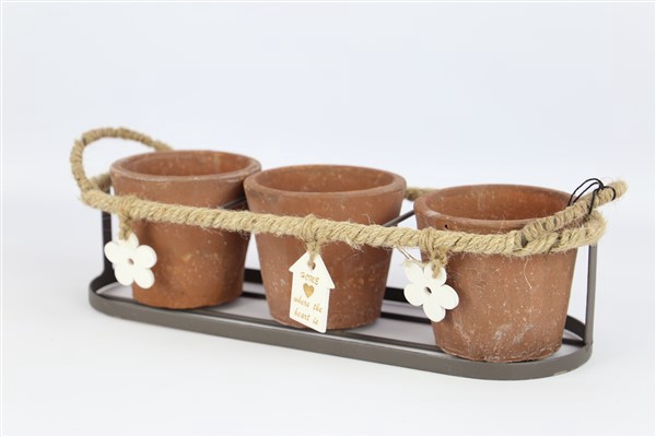 <h4>3 terracotta planters in iron frame 37*12,5*H10,5</h4>