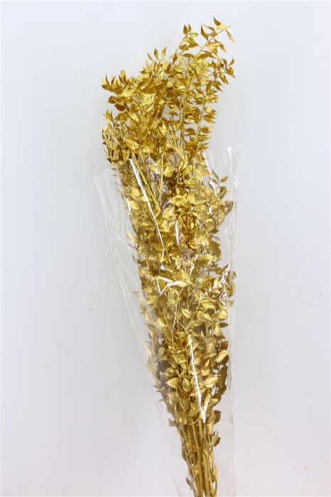 <h4>Dried Ruscus Nat Gold Glitter</h4>