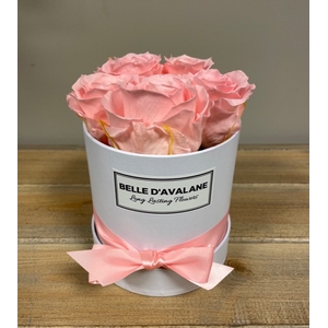 Box rd 12cm wit-roze