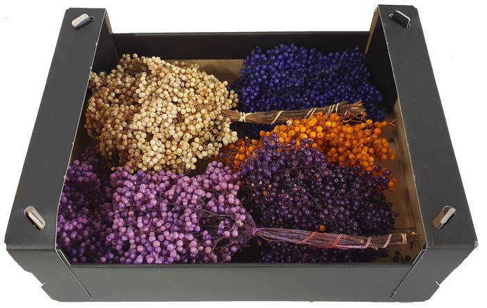 <h4>Pepperberries per bunch in poly mixed colours autu</h4>