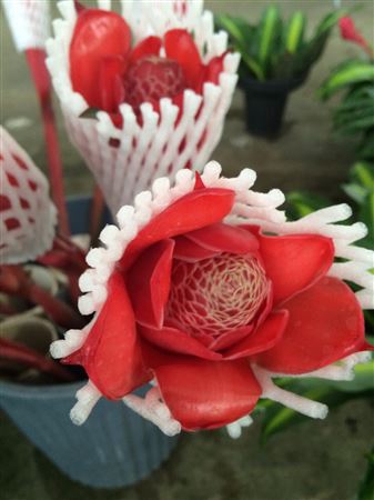 <h4>Torch Ginger Red (mg)</h4>