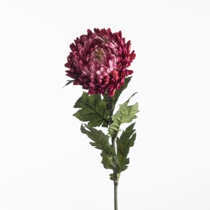 Af Chrysanthemum L75cm Beauty