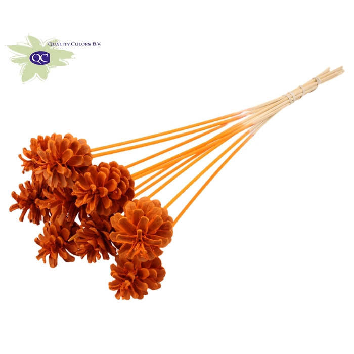 <h4>Pine cone 5-7cm on stem Intense Orange</h4>